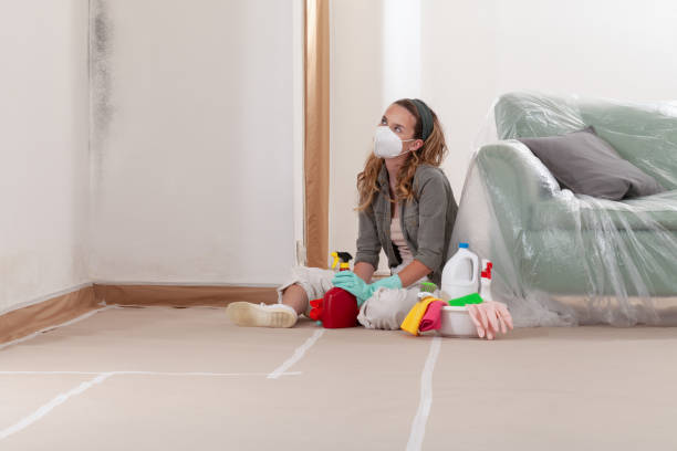 Reliable Black Mold Removal contractor in Nahant, MA by WQB Mold Removal